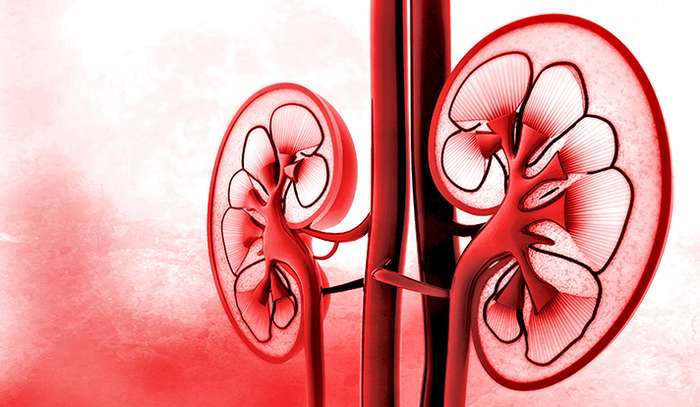 New biomarkers help predict outcomes in diabetic kidney disease