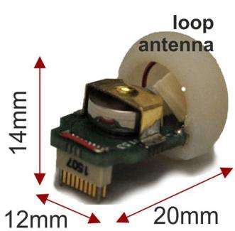 New device for refined neural recording in mice could transform dementia research