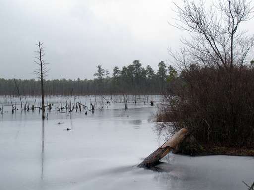New Jersey Oks gas pipeline through protected Pinelands