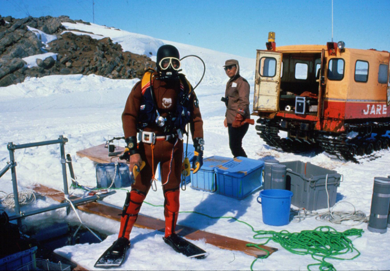 New species discovered in Antarctica