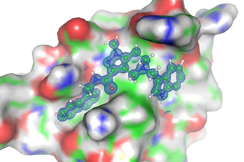 New therapeutic strategy against sleeping sickness