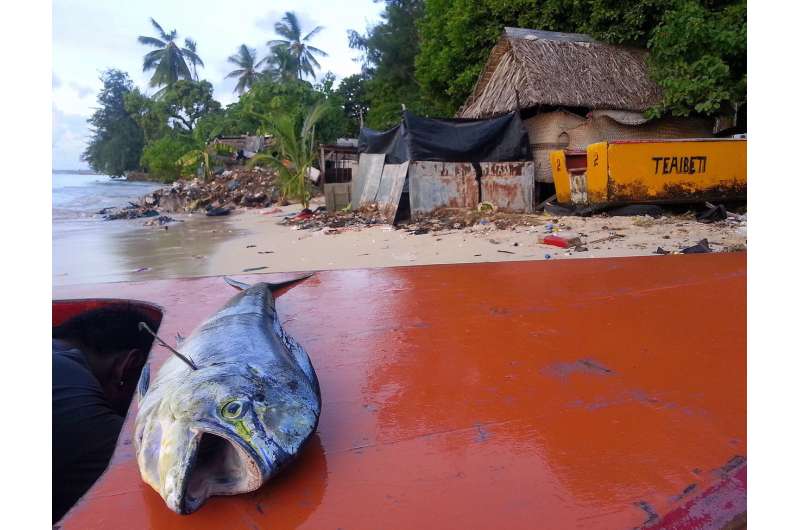 Pacific Island countries could lose 50 -- 80% of fish in local waters under climate change