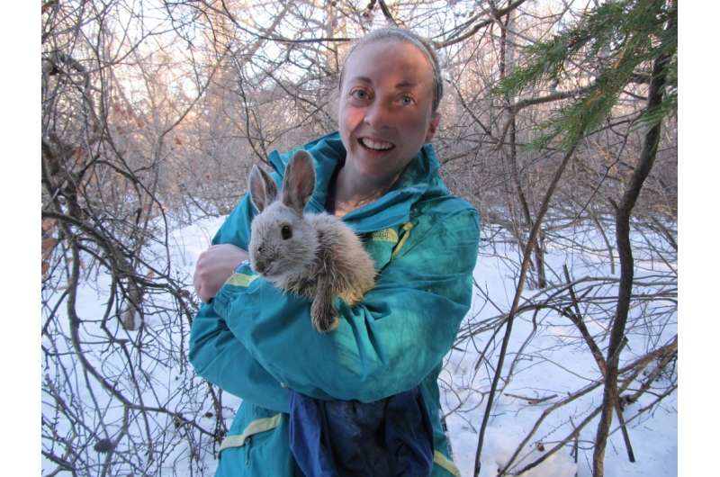 Pennsylvania snowshoe hares differ from those in Yukon