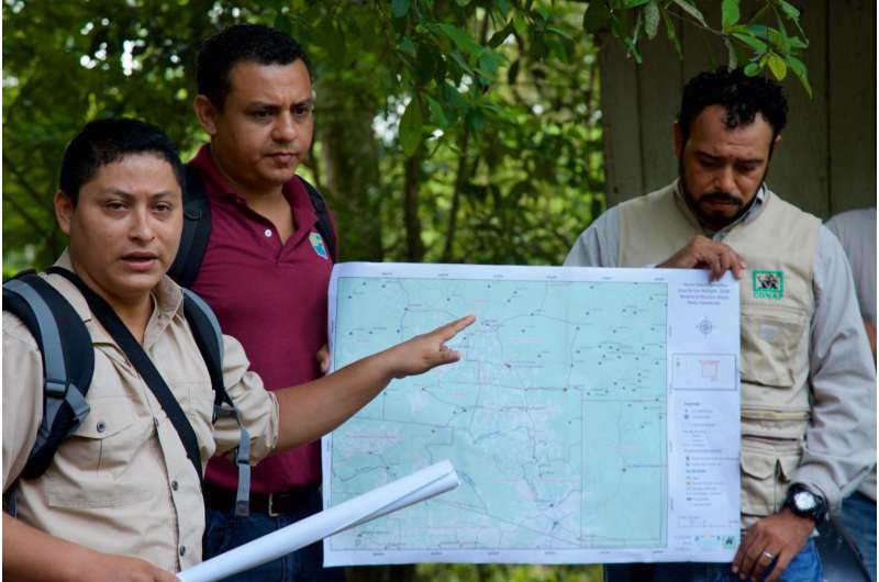 People and wildlife now threatened by rapid destruction of central America's forests
