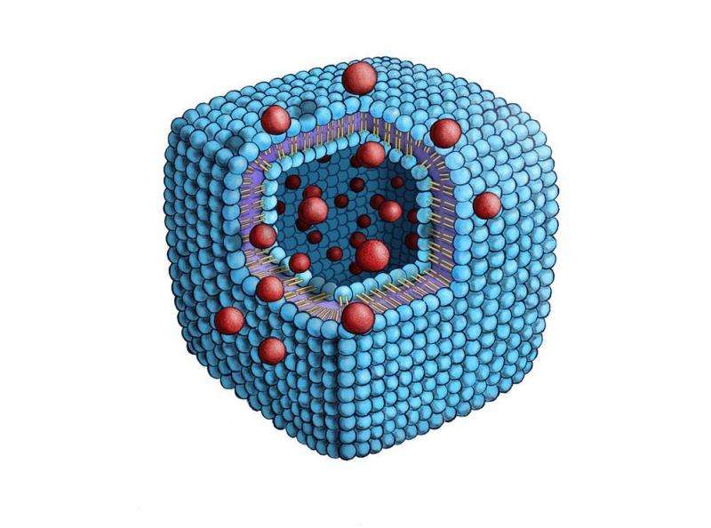 Phosphorus-containing lipid molecule self-assembles into a cuboid structure