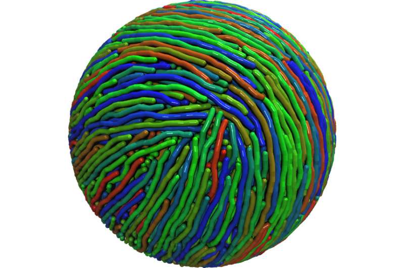 Physicists gain new insights into nanosystems with spherical confinement