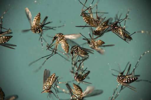 Pregnant or trying? Don't let Zika guard down