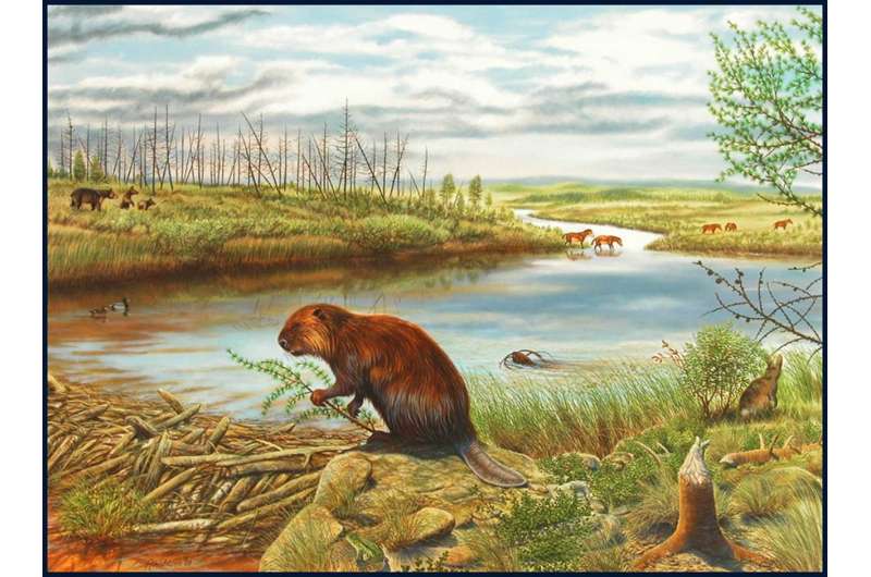 Primitive fossil bear with a sweet tooth identified from Canada's High Arctic