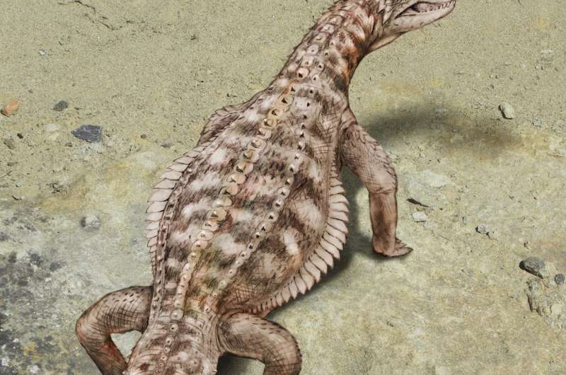 Rare, exceptionally preserved fossil reveals lifestyle of ancient armor-plated reptile