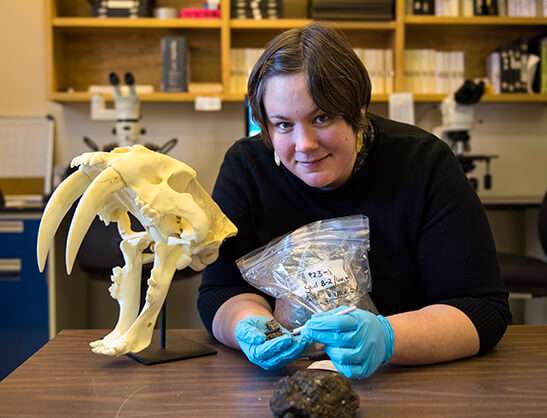 Researcher examines plants encased in tar pits to reconstruct ice age ecosystem