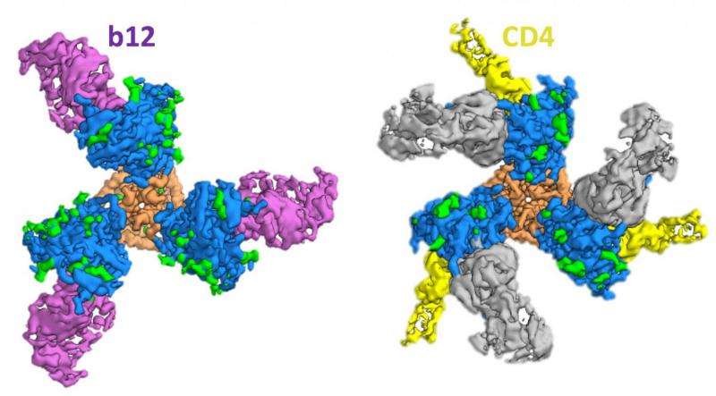 Scientists capture first high-resolution image of key HIV protein transitional state