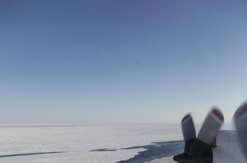 Sea ice extent sinks to record lows at both poles