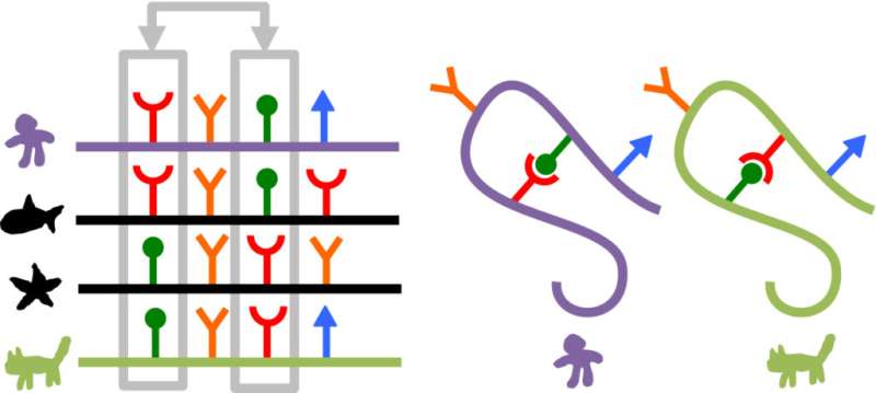 Seeking structure with metagenome sequences