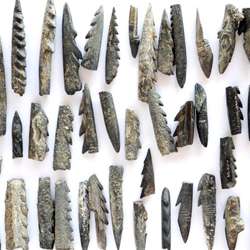 Sharpening our knowledge of prehistory on East Africa’s bone harpoons