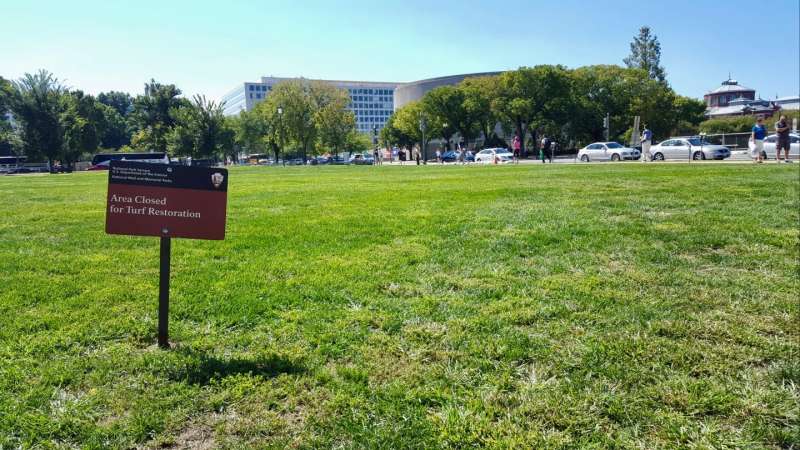 Soil microbes persist through National Mall facelift