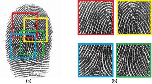 So you think you can secure your mobile phone with a fingerprint?