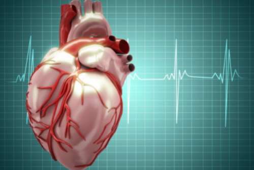 Stem cell therapy could help mend the youngest of broken hearts