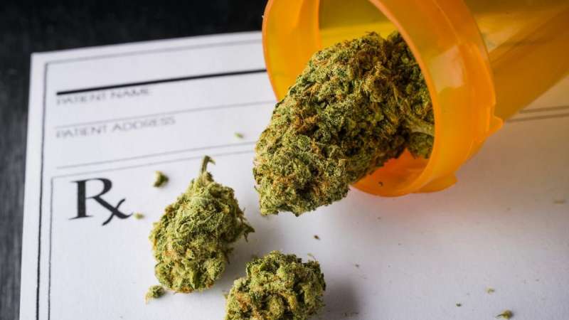 Study finds medical cannabis is effective at reducing opioid addiction