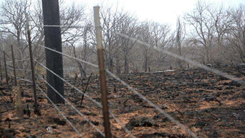 Study shows wildfire does not damage barbed wire