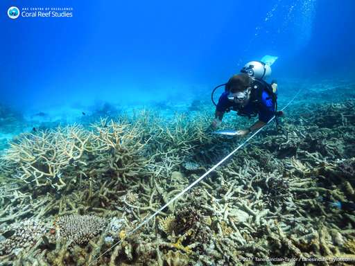 Study: Stopping global warming only way to save coral reefs