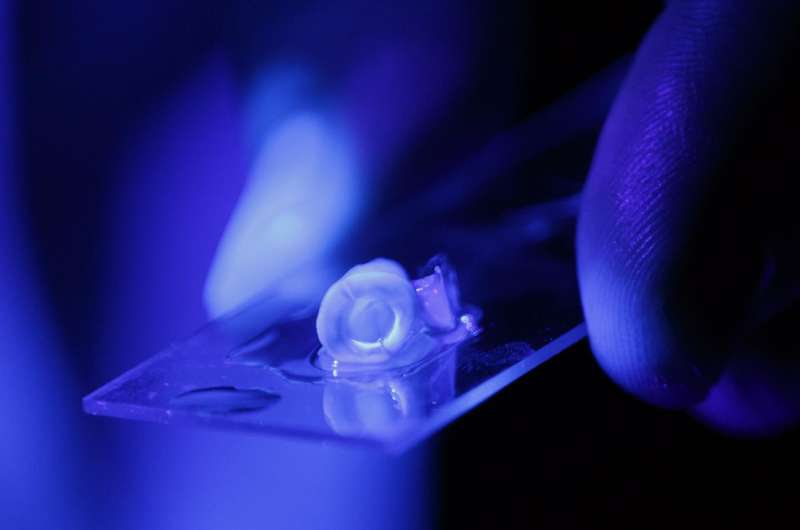 Study: Use of prefabricated blood vessels may revolutionize root canals