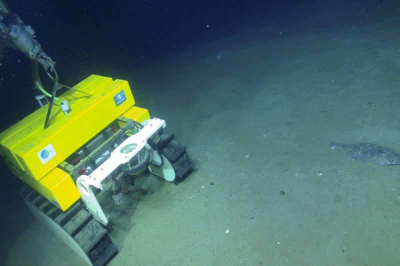 Technologies shine spotlight on climate role of undersea canyons
