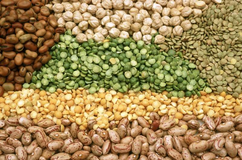 The consumption of legumes is associated with a lower risk of diabetes