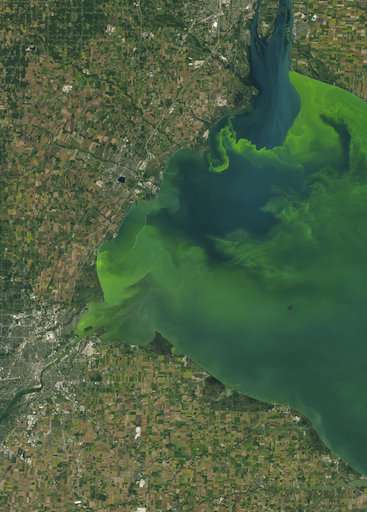 Toxic algae flourishes despite vast sums spent to prevent it