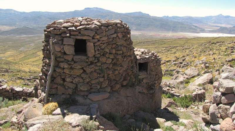 Unexpected agricultural production allowed pre-Hispanic society to flourish in arid Andes
