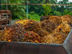 Using waste biomass for the sustainable production of industrial chemicals
