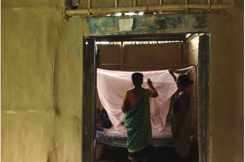 UW-led scientists 'closing the gap' on malaria in India