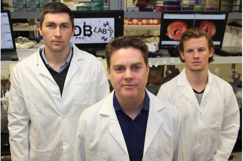 Virginia Tech team examines molecular-level problems of heart disease