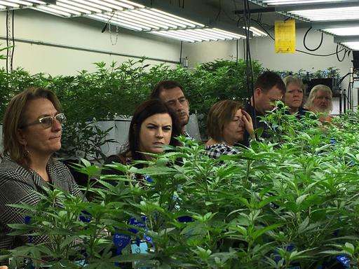 Weed 101: Colorado agriculture office shares pot know-how