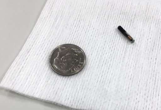 Wisconsin company holds 'chip party' to microchip workers