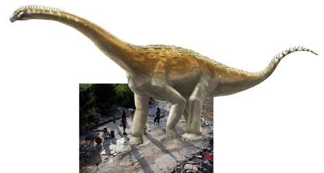 World’s longest sauropod dinosaur trackway brought to light