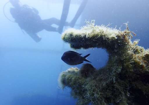 Wrecks, sunken treasures lie under Albania's coastal waters