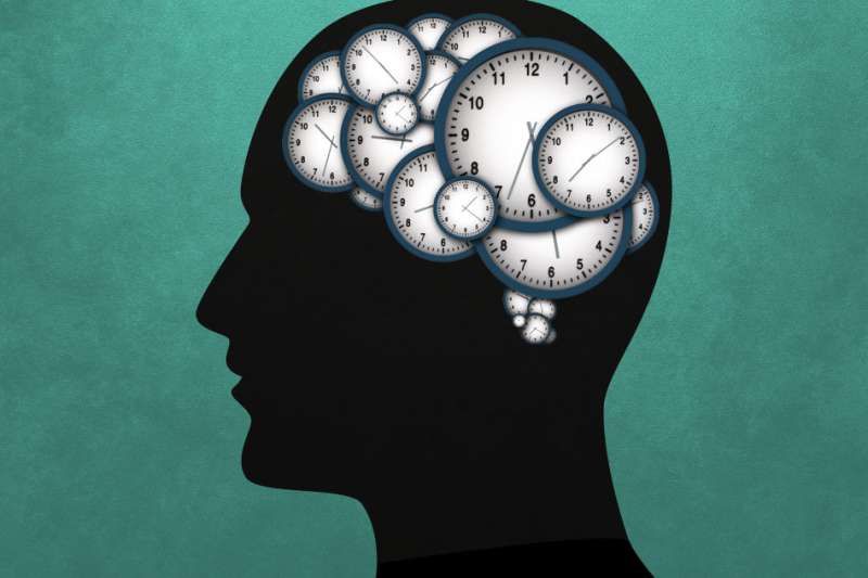 Neuroscientists discover networks of neurons that stretch or compress their activity to control timing