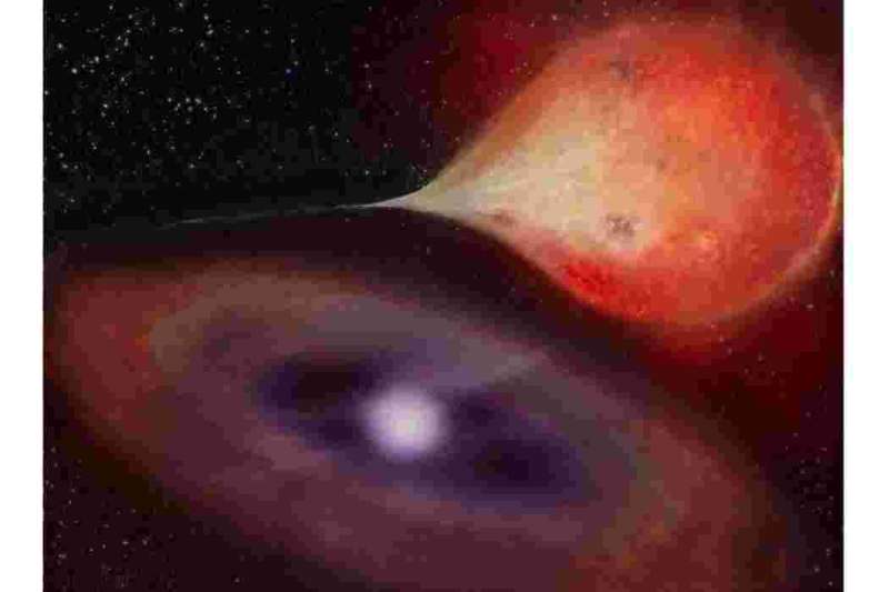 New discovery finds starving white dwarfs are binge eaters