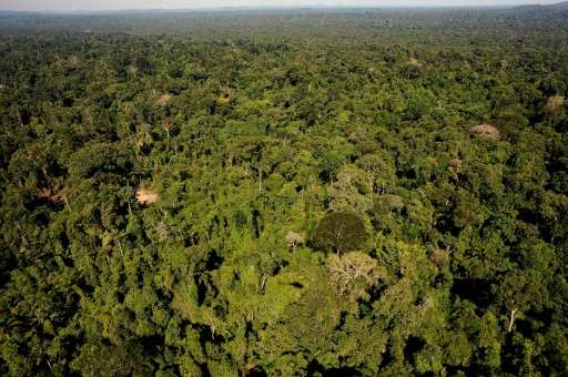 Scientists say Brazil is in danger of disregarding the consequences of the destruction of its ecosystems, particularly in the Am