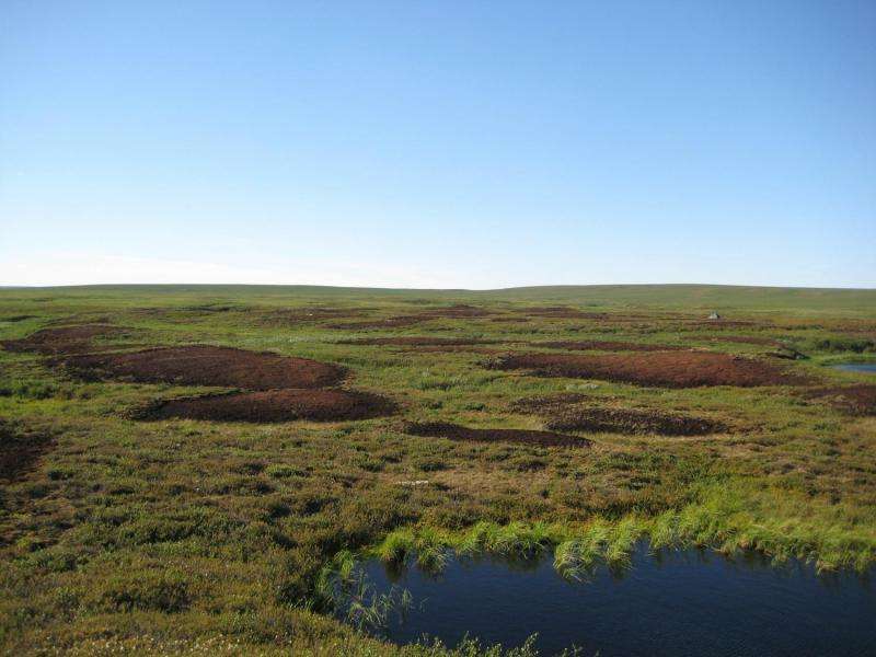 Scientists uncover isotopic fingerprint of N2O emissions from Arctic tundra