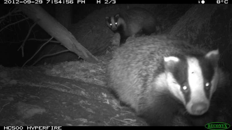 Citizen scientists help capture wild mammals on camera
