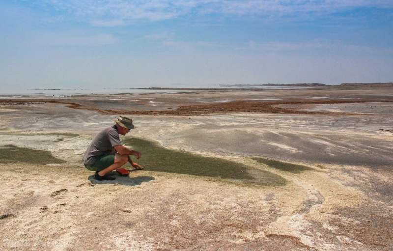 Scientists warn that saline lakes in dire situation worldwide