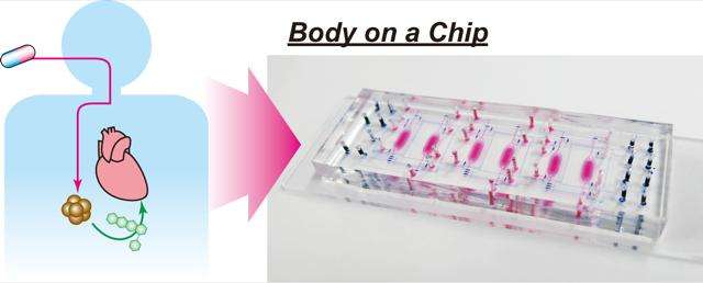 Next-generation drug testing on chips