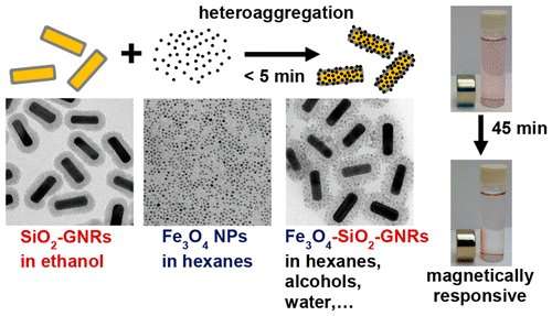 Researchers find simpler way to deposit magnetic iron oxide onto gold nanorods
