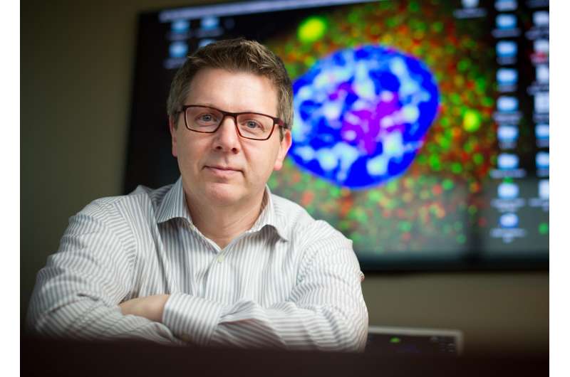 Researchers discover fundamental pathology behind ALS