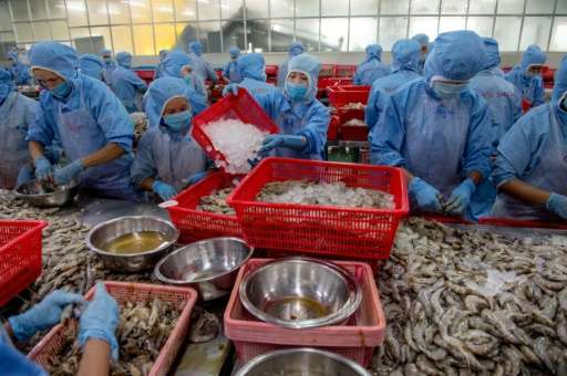 Environmentalists warn that the bounty from intensive shrimp farming may be short-lived as pollution and disease increasingly la
