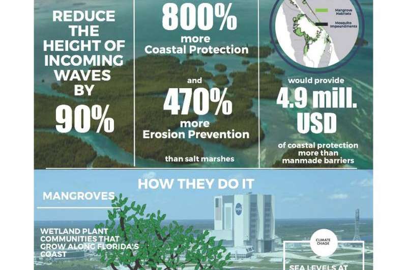 New research shows protective value of mangroves for coastlines