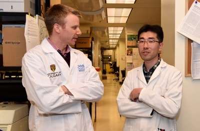 Researchers discover new immunotherapy combination effective at killing cancer cells