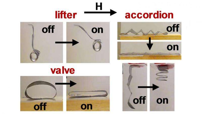 Researchers control soft robots using magnetic fields