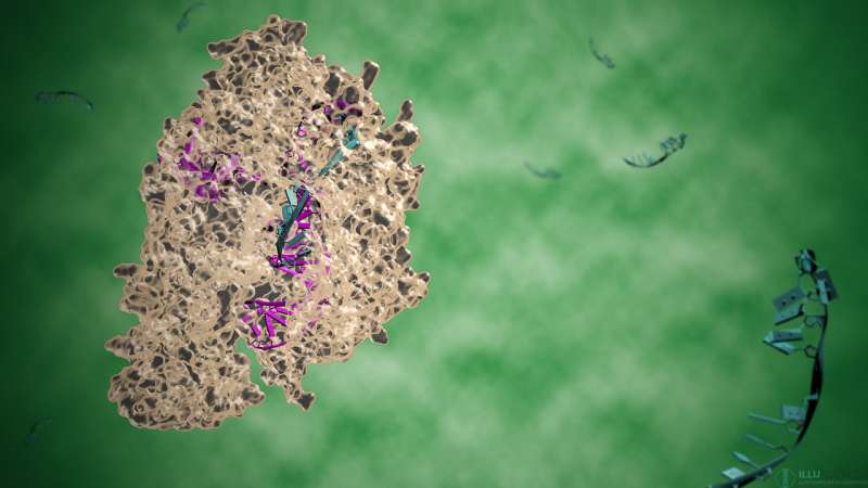 Searching for the CRISPR Swiss-army knife